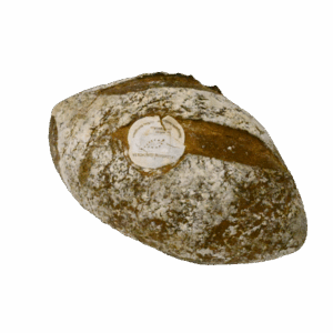 Bio Campagne Tradition 500 G